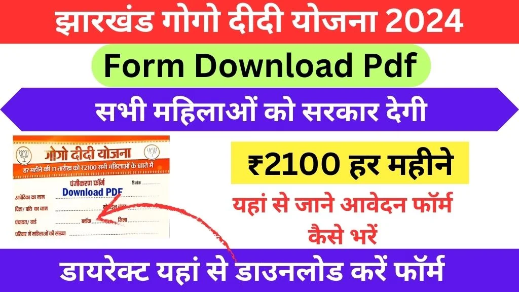 Gogo Didi Yojana 2024 Form Download Pdf